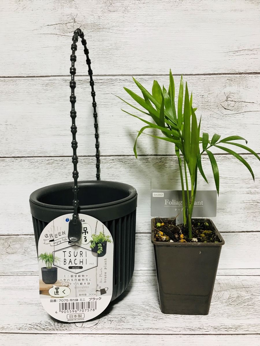 【DAISO】吊り鉢ミニ×テーブルヤシ
