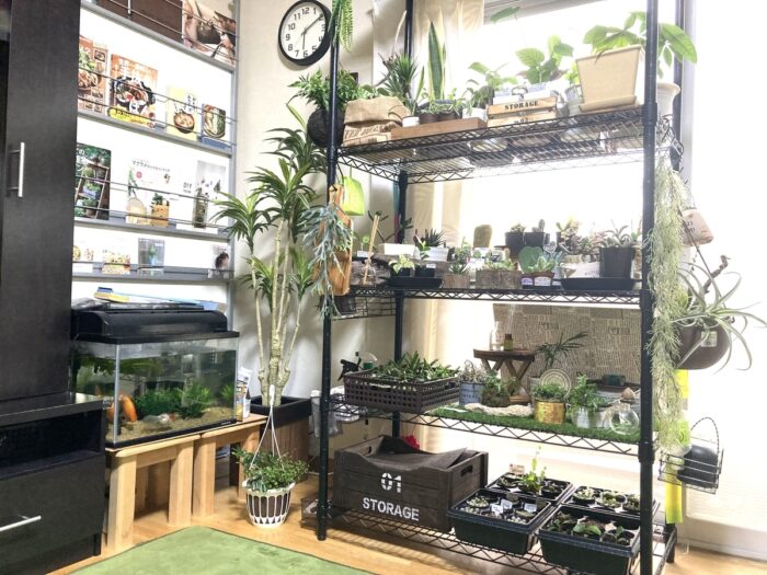 室内ガーデニング（インドアガーデン）